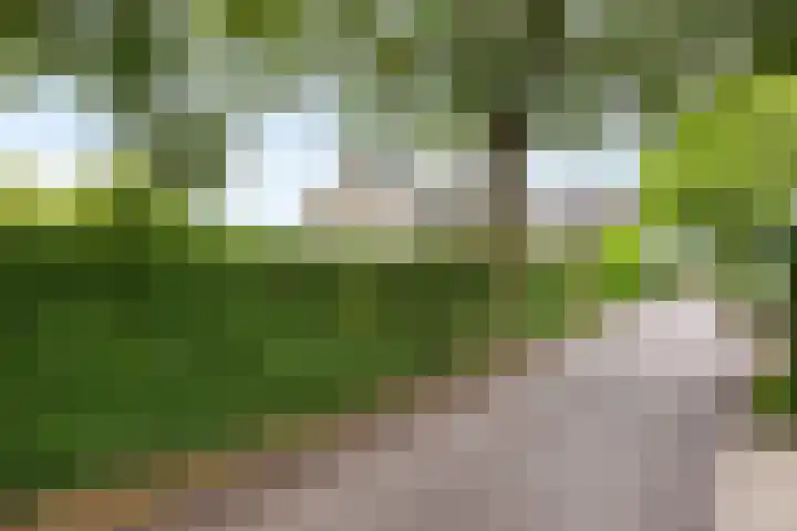 Park Zomerlust 135 Zevenhoven thumbnail 8