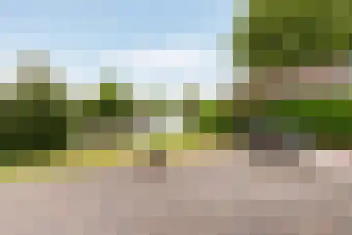 Park Zomerlust 135 Zevenhoven thumbnail 9
