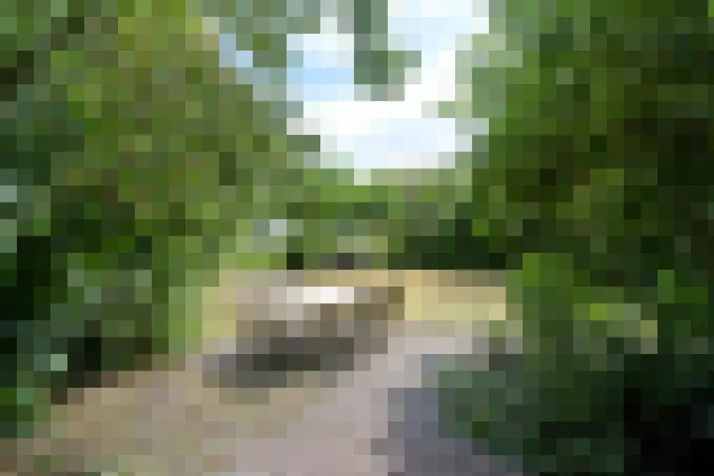Park Zomerlust 139 Zevenhoven thumbnail 28