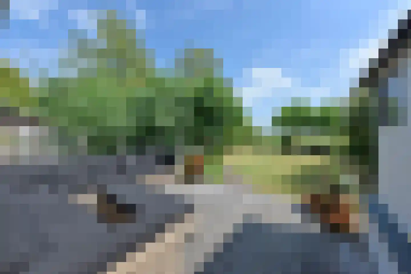 Park Zomerlust 139 Zevenhoven thumbnail 4