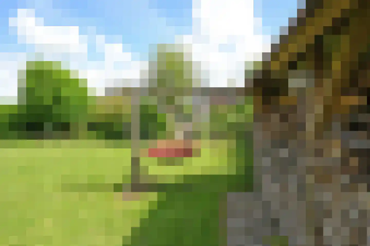Park Zomerlust 27 Zevenhoven thumbnail 28