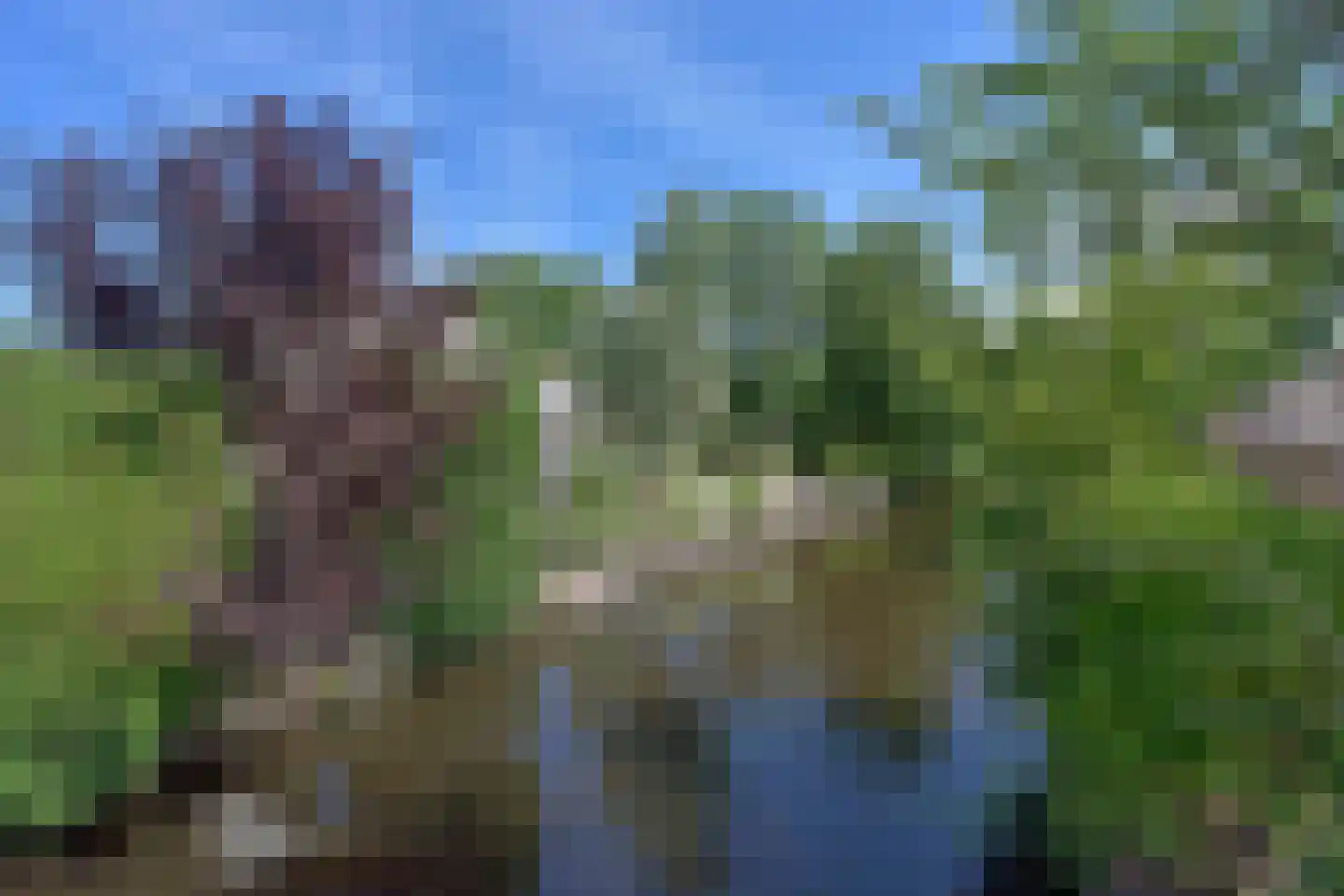 Park Zomerlust 40 Zevenhoven thumbnail 37