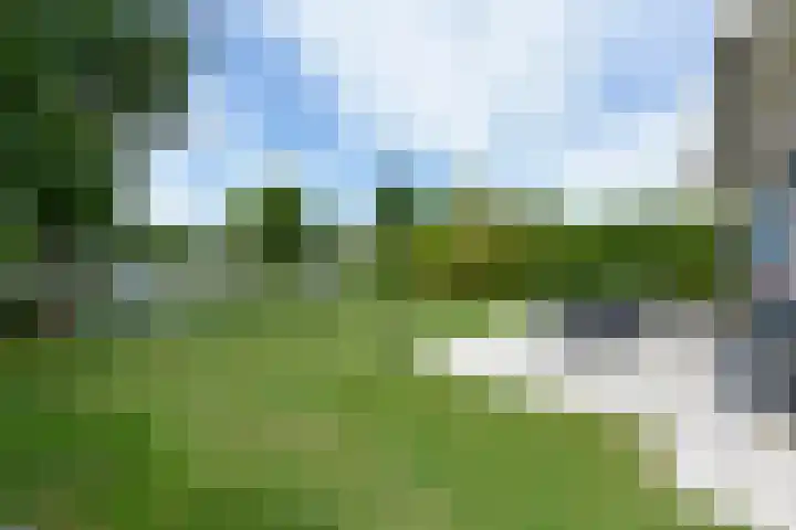 Park Zomerlust 89 Zevenhoven thumbnail 18