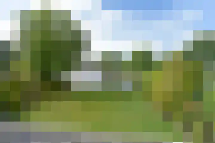 Park Zomerlust 89 Zevenhoven thumbnail 19