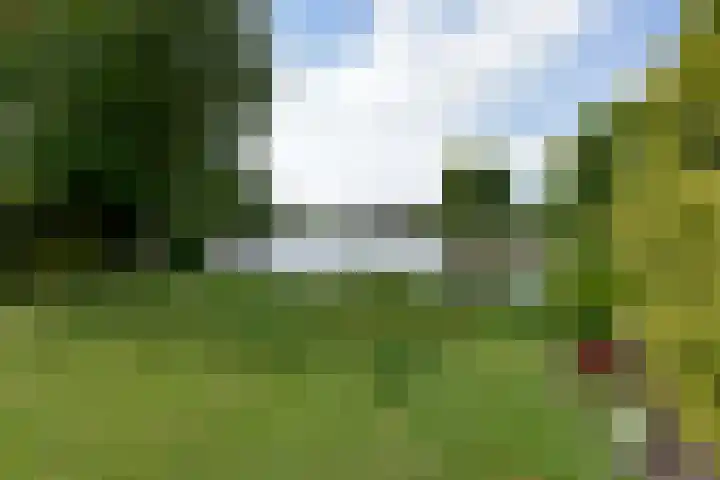Park Zomerlust 89 Zevenhoven thumbnail 20