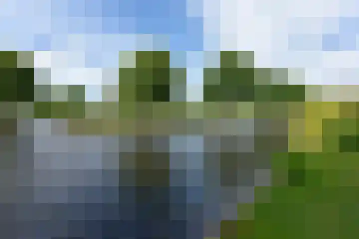 Park Zomerlust 89 Zevenhoven thumbnail 21