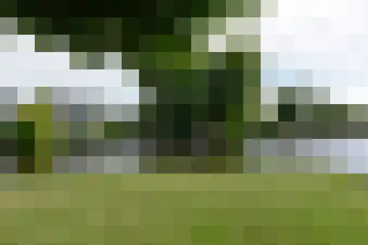 Park Zomerlust 89 Zevenhoven thumbnail 22