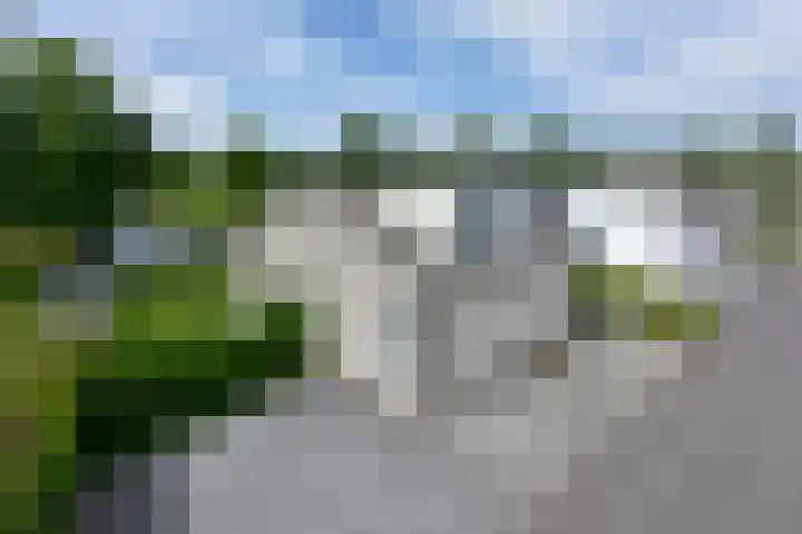 Park Zomerlust 89 Zevenhoven thumbnail 23