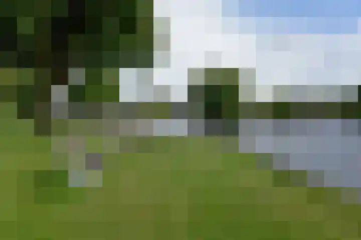 Park Zomerlust 89 Zevenhoven thumbnail 25
