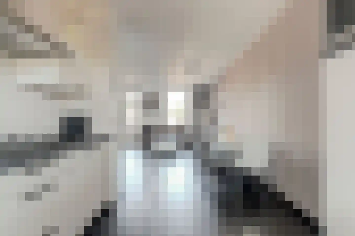 Parkdreef 177 Zoetermeer thumbnail 19