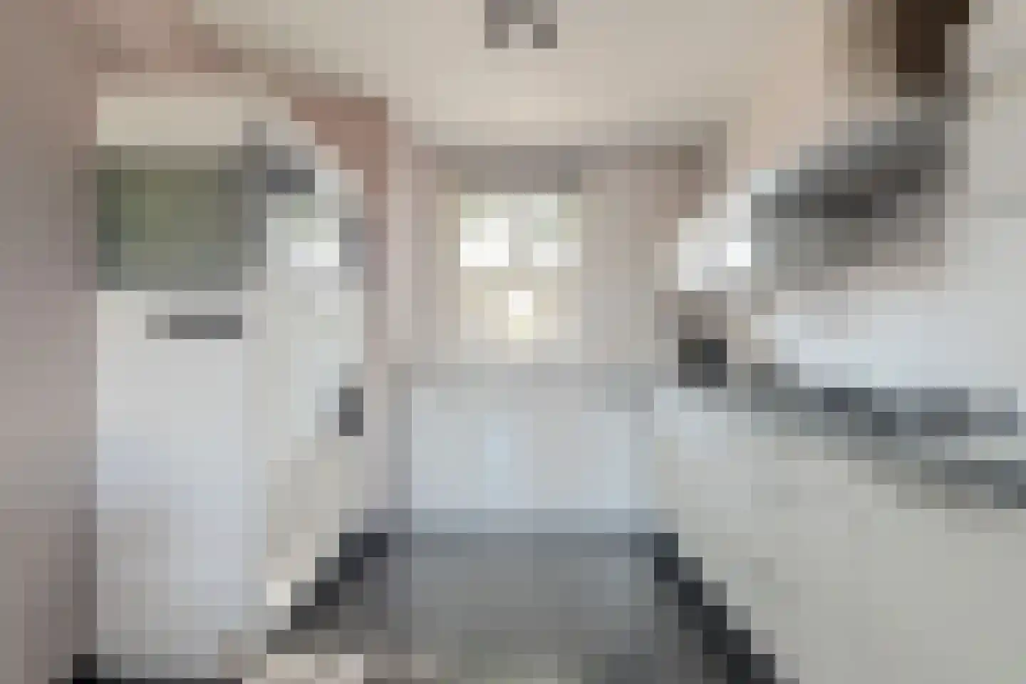 Parkdreef 177 Zoetermeer thumbnail 20