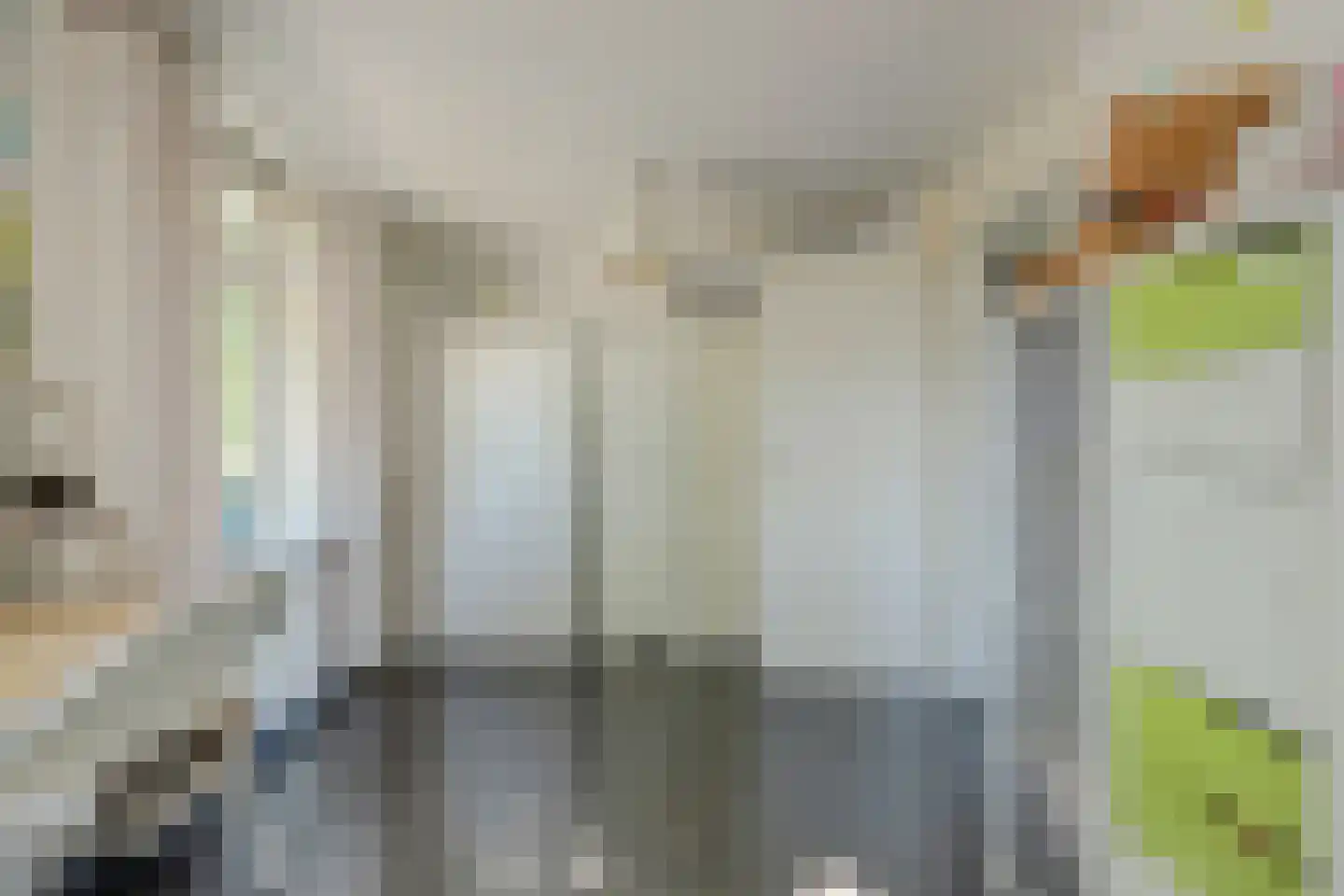 Parkdreef 177 Zoetermeer thumbnail 32