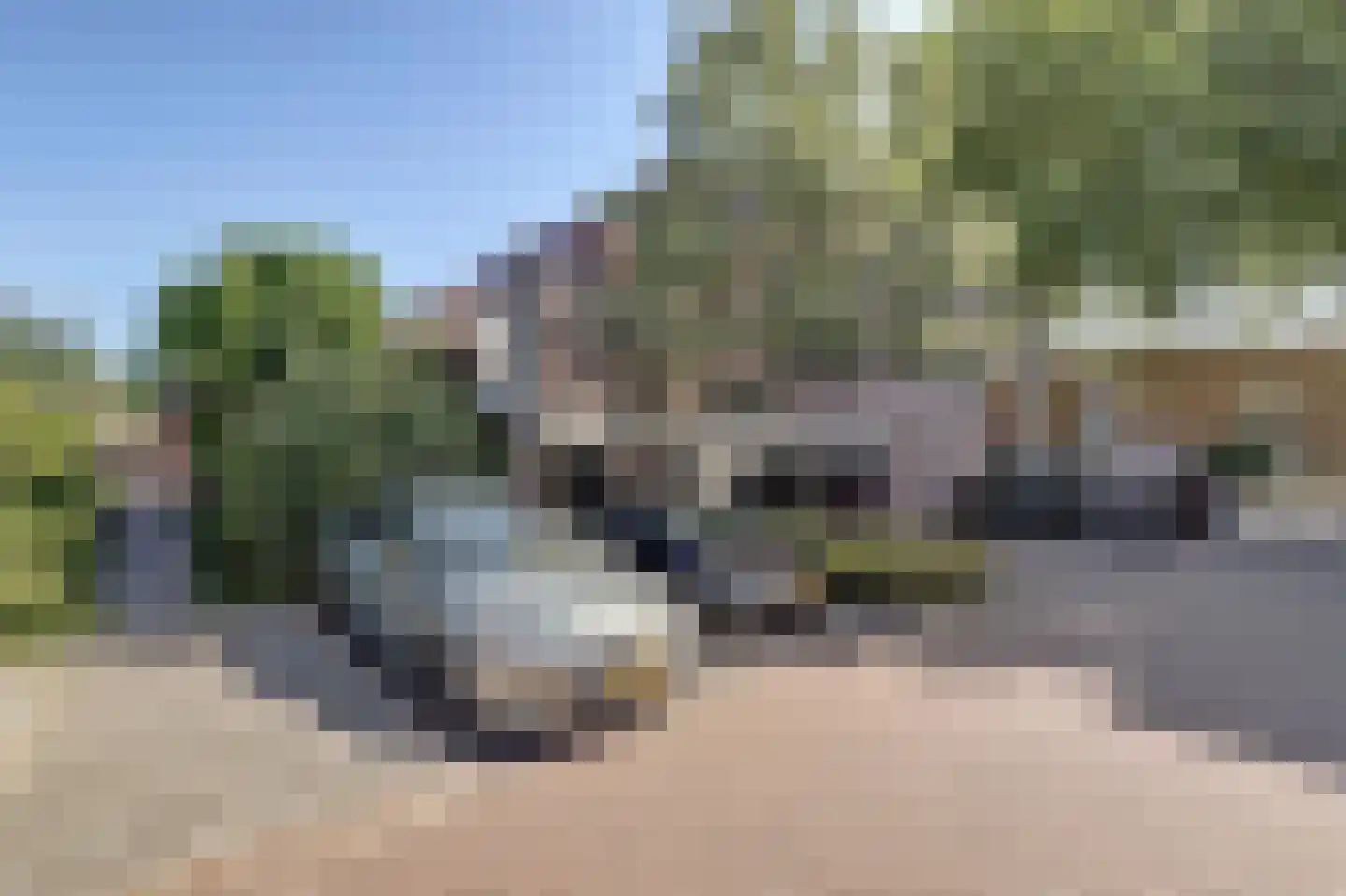 Parkdreef 177 Zoetermeer thumbnail 4
