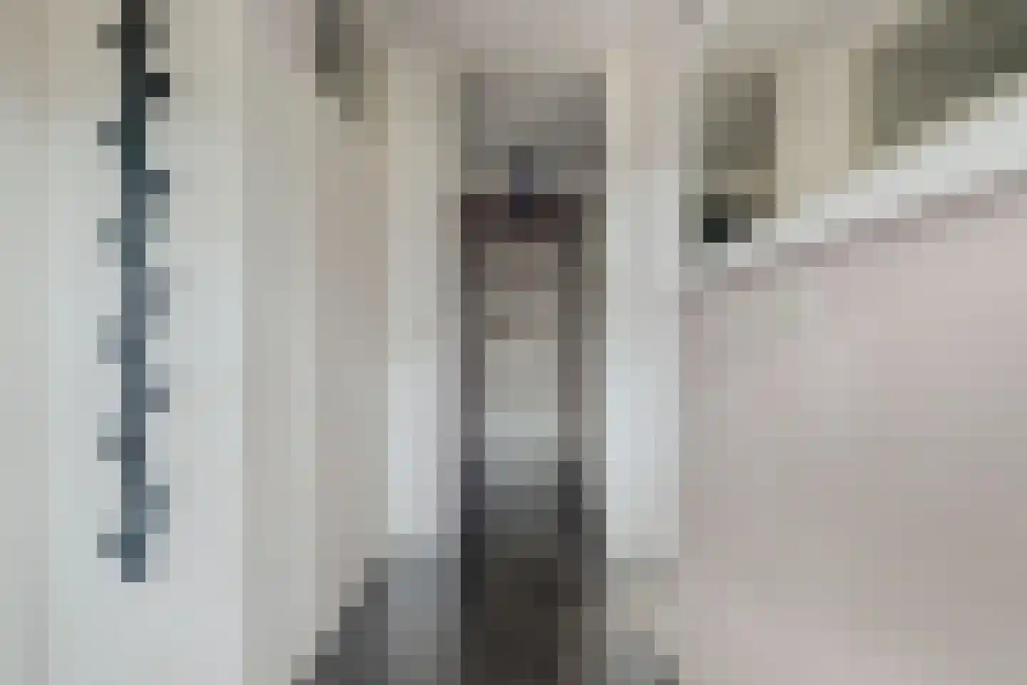 Parkdreef 177 Zoetermeer thumbnail 8