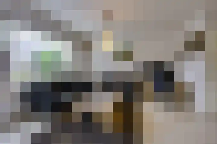 Parkdreef 242 Zoetermeer thumbnail 13