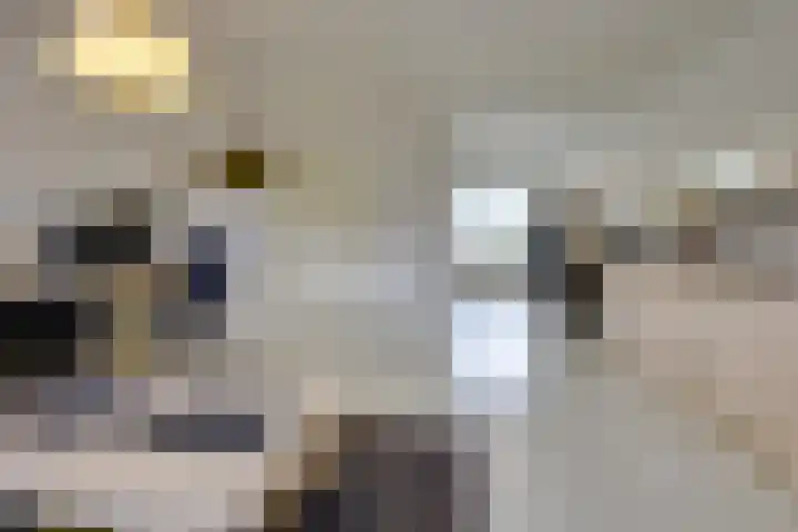 Parkdreef 242 Zoetermeer thumbnail 14