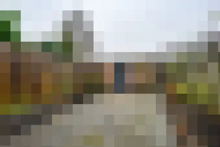 Parkdreef 242 Zoetermeer thumbnail 19