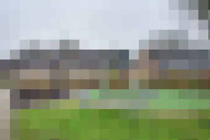 Parkdreef 242 Zoetermeer thumbnail 33