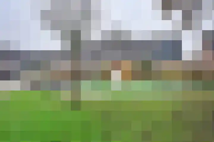 Parkdreef 242 Zoetermeer thumbnail 34