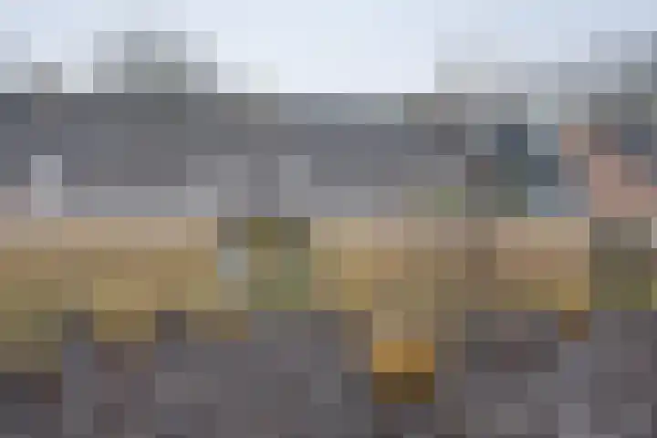 Parkdreef 242 Zoetermeer thumbnail 35