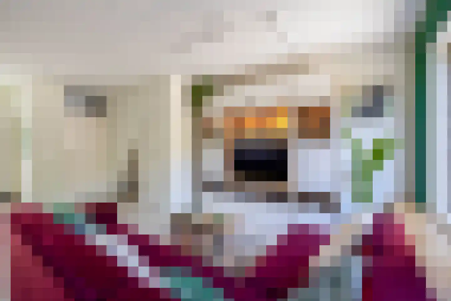 Parkdreef 278 Zoetermeer thumbnail 10