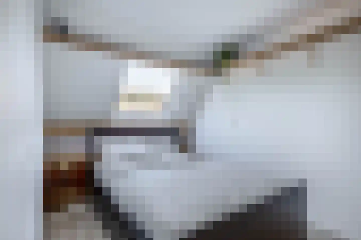 Parkdreef 278 Zoetermeer thumbnail 23