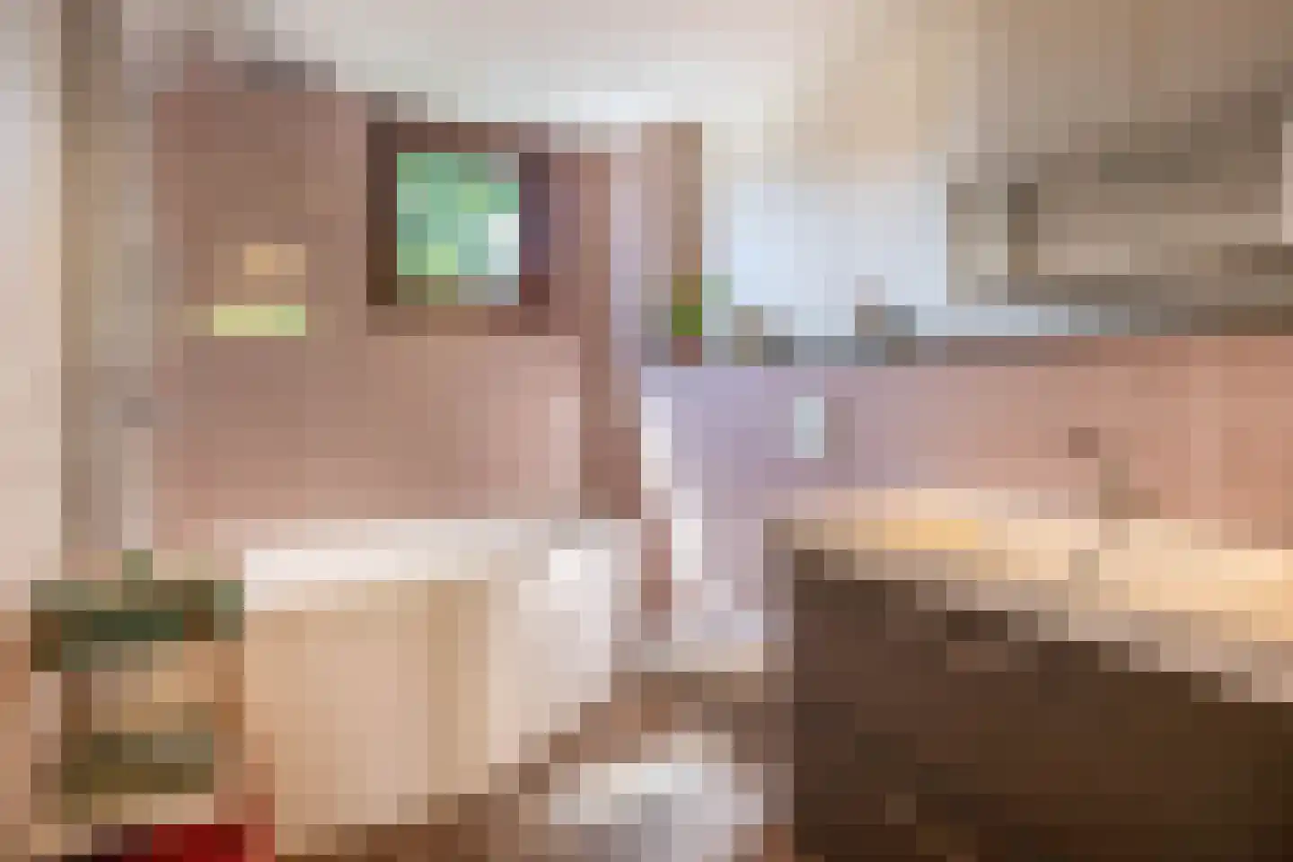 Parkdreef 278 Zoetermeer thumbnail 25