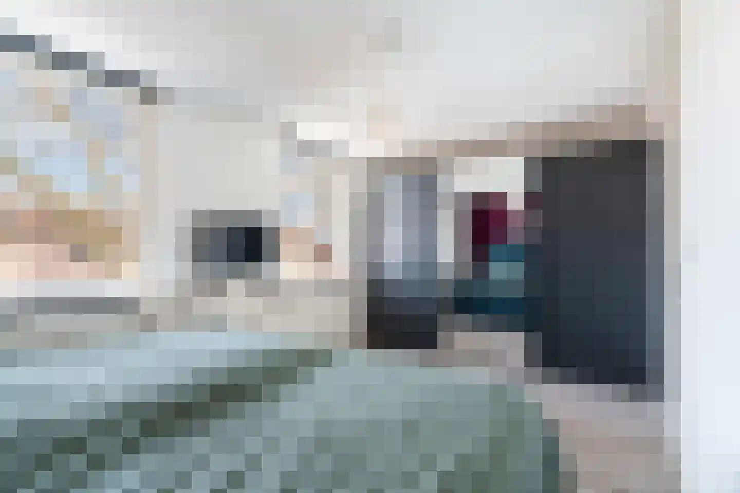 Parkdreef 89 Zoetermeer thumbnail 24
