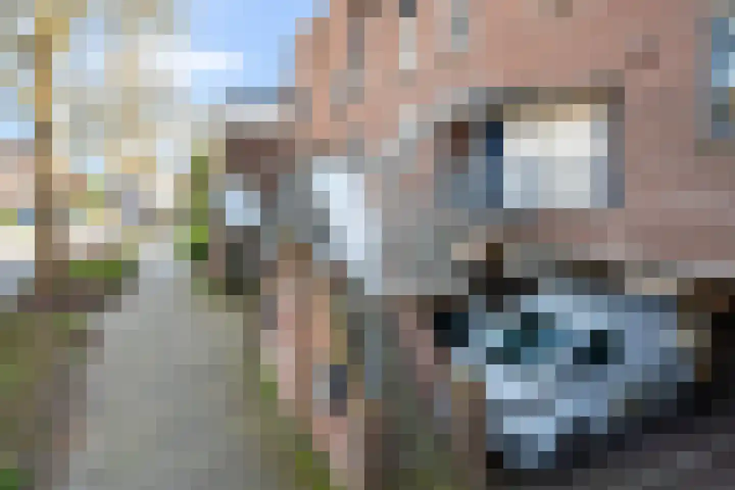 Parkdreef 89 Zoetermeer thumbnail 45