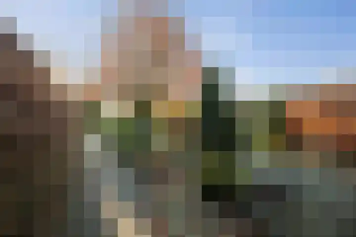 Parkelerweg 21 Twello thumbnail 21