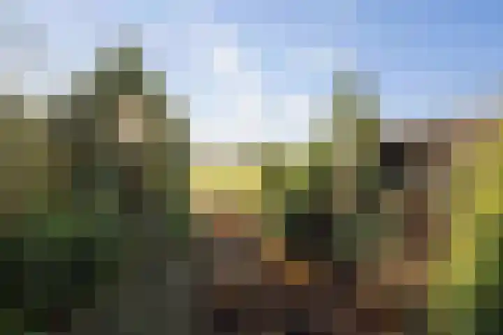 Parkelerweg 21 Twello thumbnail 22