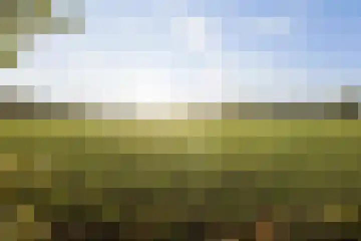 Parkelerweg 21 Twello thumbnail 23