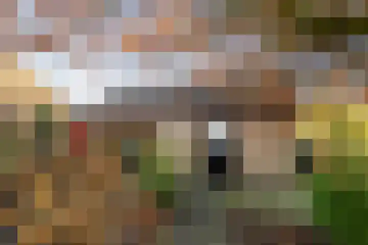 Parkelerweg 21 Twello thumbnail 24