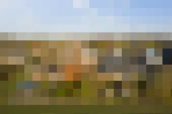 Parkelerweg 21 Twello thumbnail 25