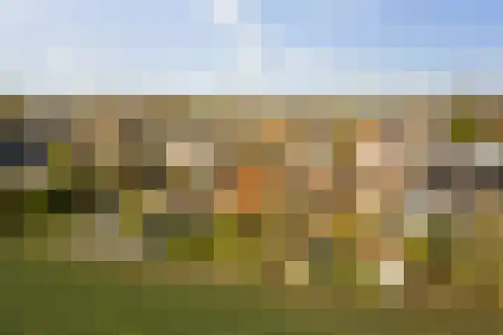 Parkelerweg 21 Twello thumbnail 26