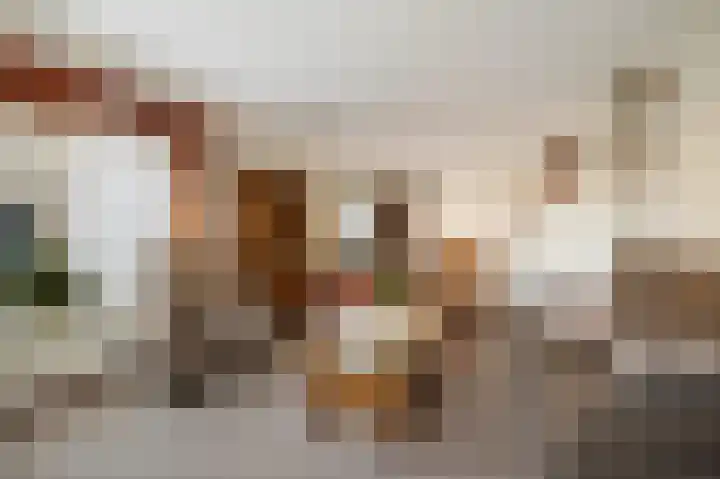 Parkelerweg 21 Twello thumbnail 7