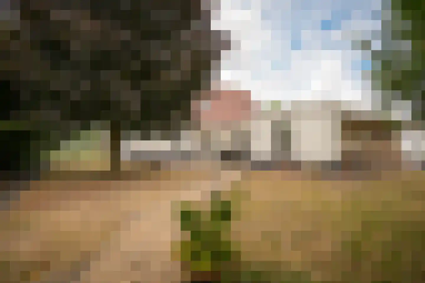 Parkenstraat 7 Wamel thumbnail 34