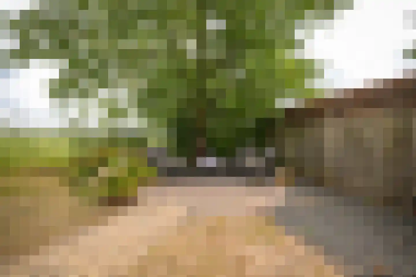 Parkenstraat 7 Wamel thumbnail 40