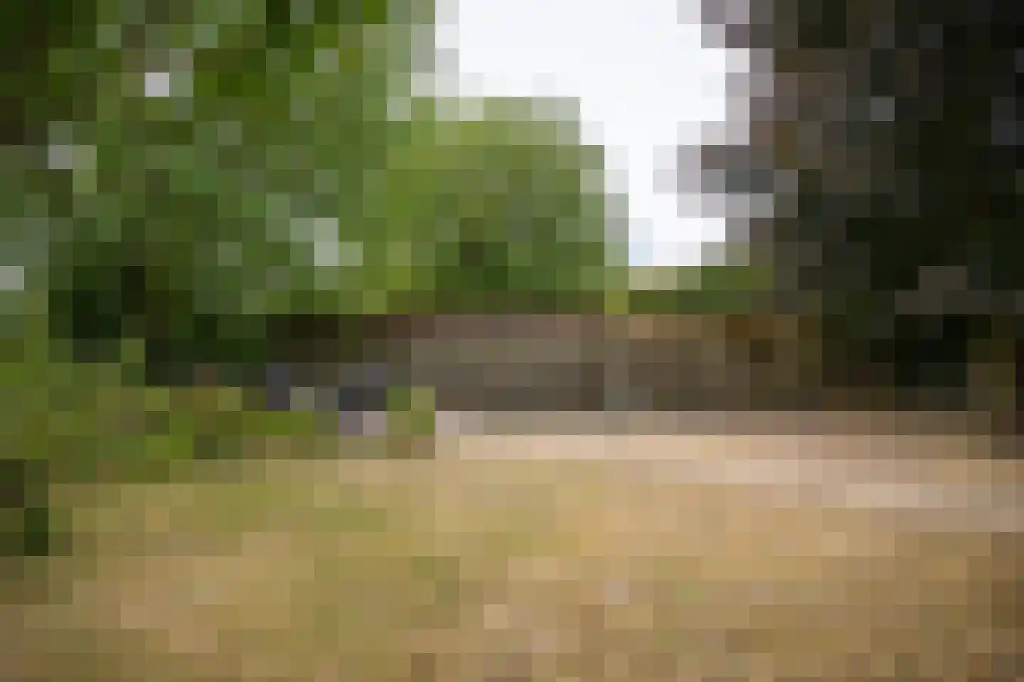 Parkenstraat 7 Wamel thumbnail 45