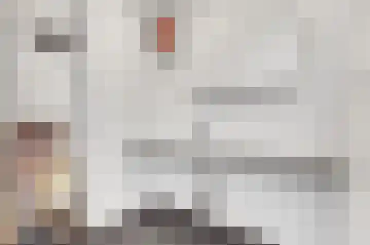 Parkflat de Statenhoed 12 Twello thumbnail 28