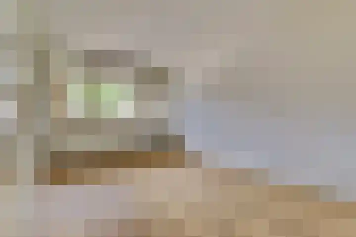 Parkflat de Statenhoed 12 Twello thumbnail 6