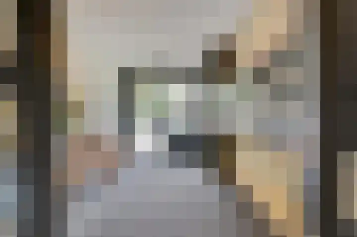 Parkflat de Statenhoed 12 Twello thumbnail 8
