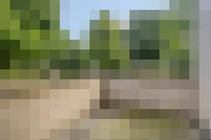 Parkflat de Statenhoed 15 Twello thumbnail 13