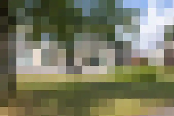 Parkflat de Statenhoed 15 Twello thumbnail 26