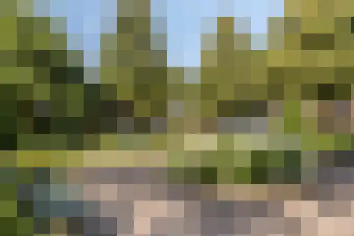 Parkflat de Statenhoed 15 Twello thumbnail 27