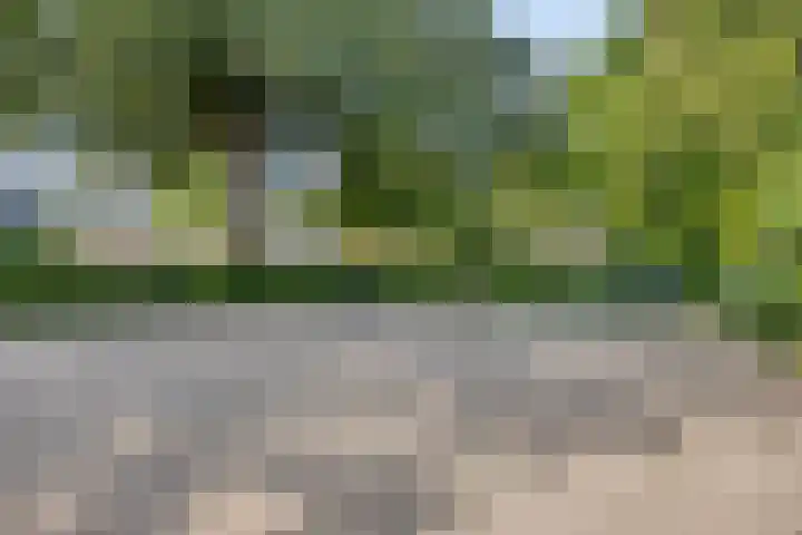 Parkflat de Statenhoed 15 Twello thumbnail 28