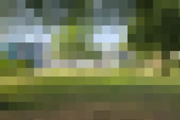 Parkflat de Statenhoed 15 Twello thumbnail 33