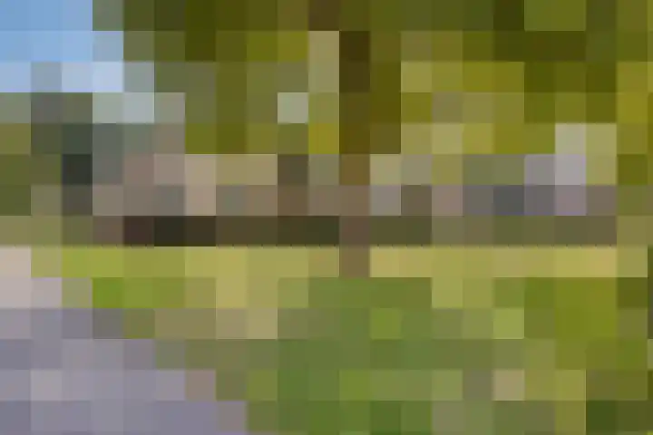Parkflat de Statenhoed 15 Twello thumbnail 34