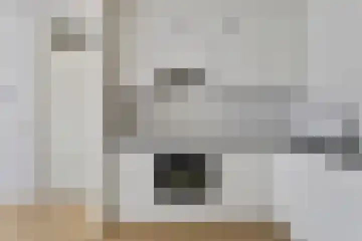 Parkflat de Statenhoed 15 Twello thumbnail 36