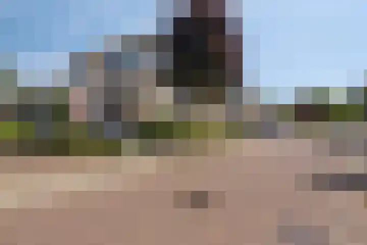Parkflat de Statenhoed 15 Twello thumbnail 37